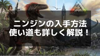 【ARK】ニンジンの集め方と効果的な栽培方法を徹底解説